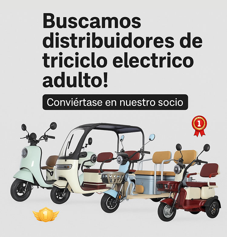 triciclo electrico adulto